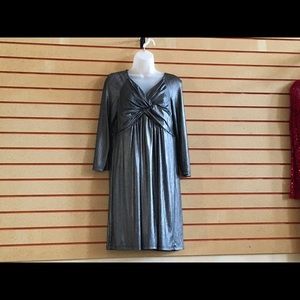 Women Silver Dress